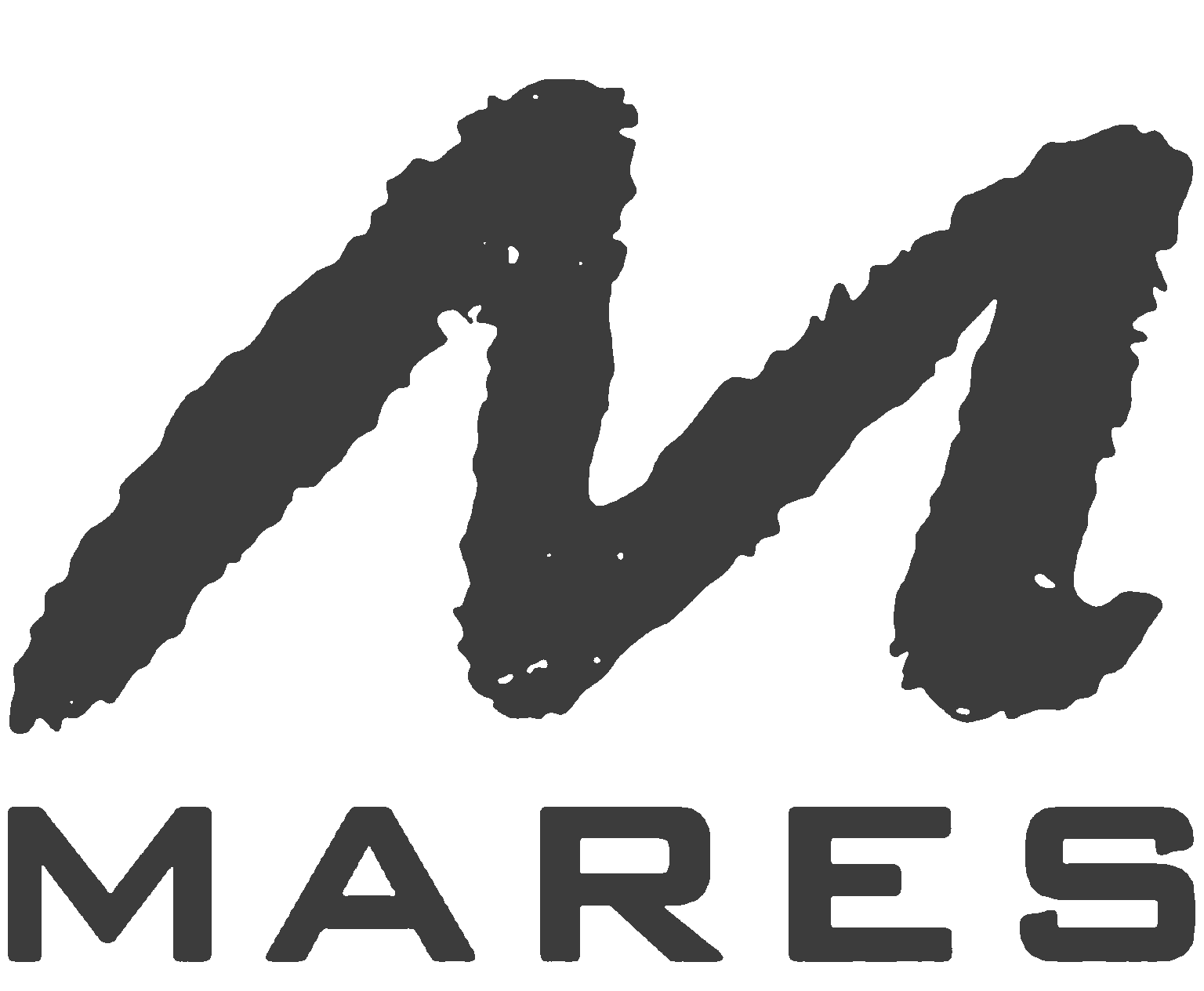 MARES Logo